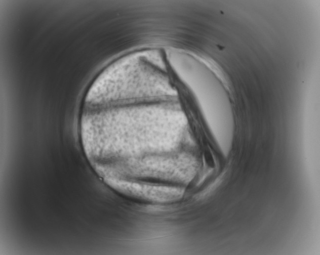 X0000088730904200706282121