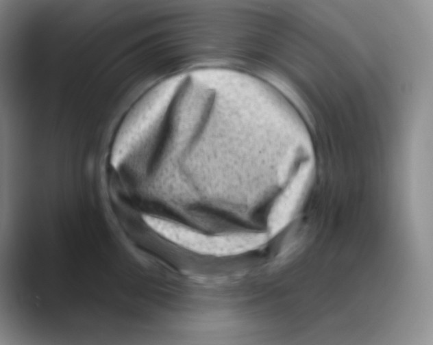 X0000088730906200706282121