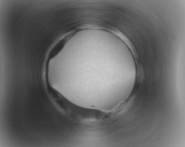 X0000088730909200706282121