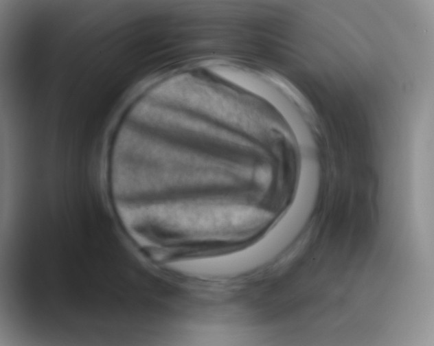 X0000088730910200706282121