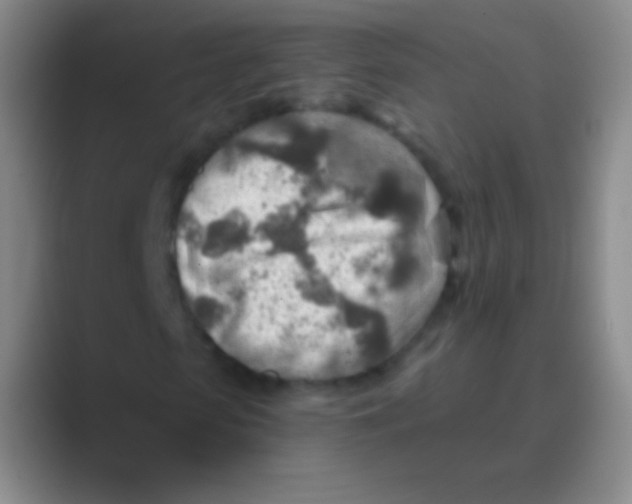 X0000088730913200706282121