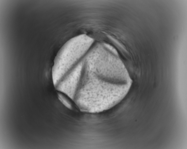 X0000088730914200706282121