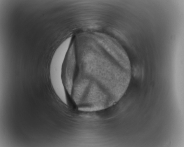 X0000088730915200706282121