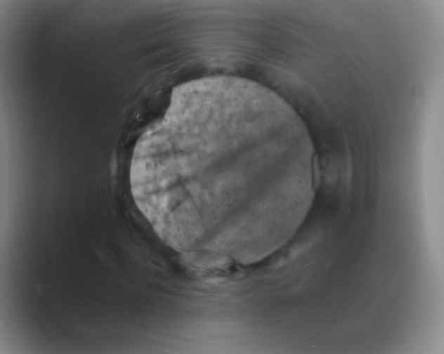 X0000088730916200706282121