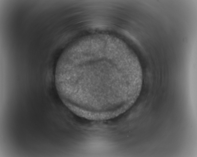 X0000088730918200706282121