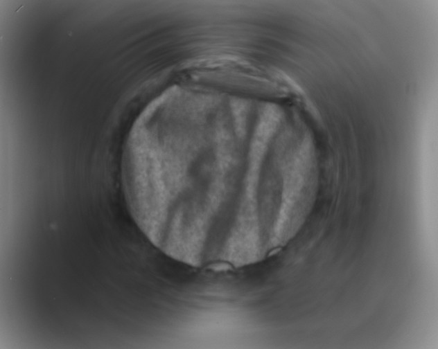 X0000088730919200706282121