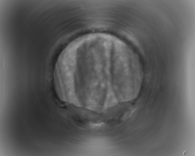 X0000088730920200706282121