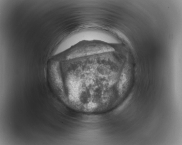 X0000088730921200706282121