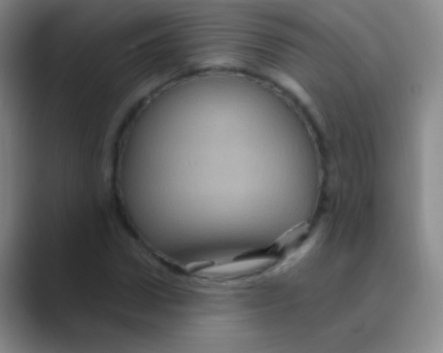 X0000088730922200706282121