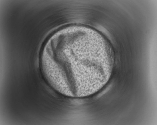 X0000088730924200706282121