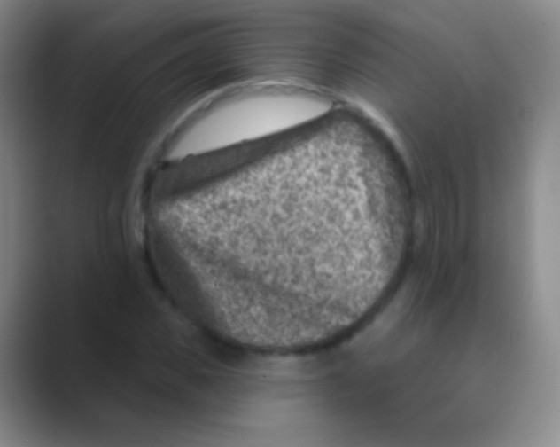 X0000088730925200706282121