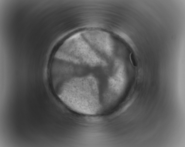 X0000088730928200706282121