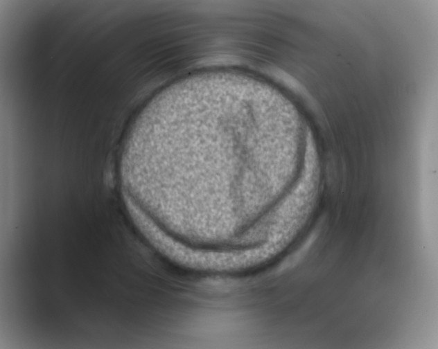 X0000088730929200706282121