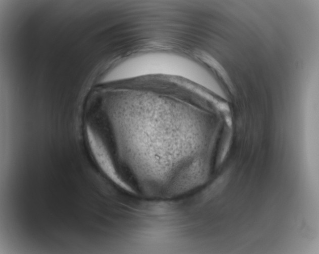 X0000088730930200706282121