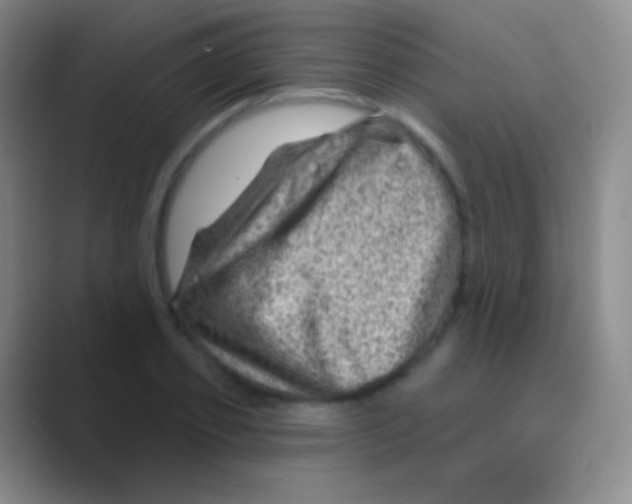 X0000088730933200706282121