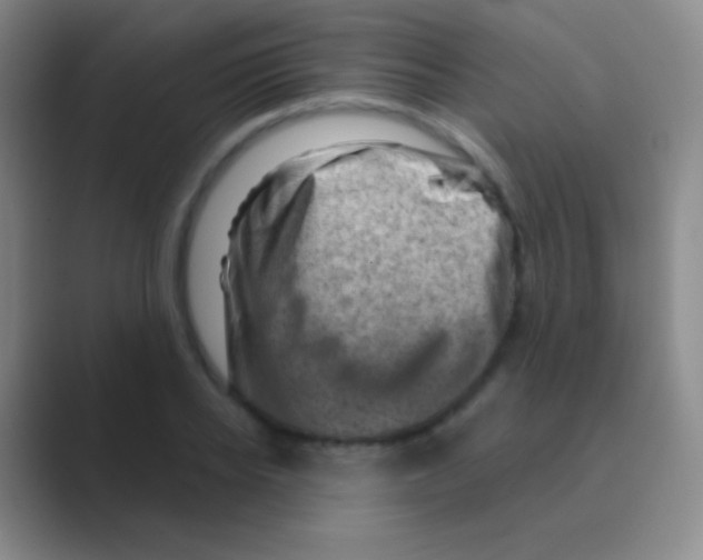 X0000088730934200706282121