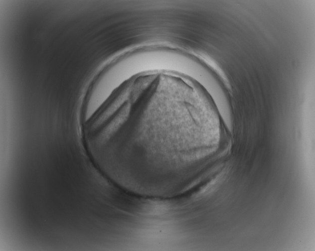 X0000088730935200706282121