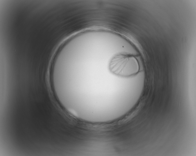 X0000088730936200706282121