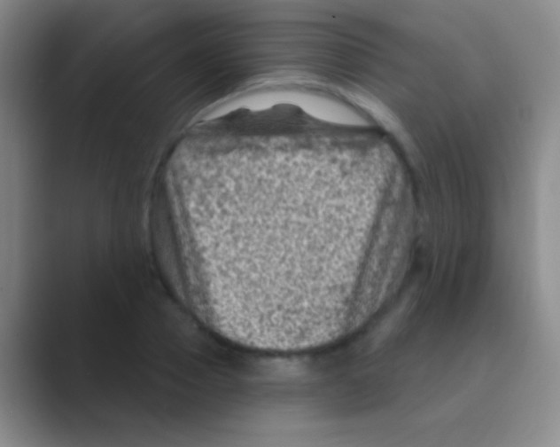 X0000088730937200706282121