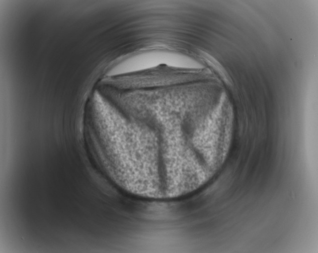 X0000088730938200706282121