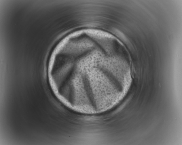 X0000088730940200706282121