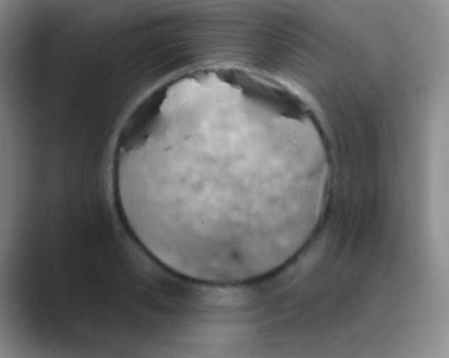 X0000088730941200706282121