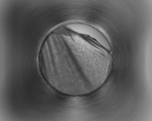 X0000088730943200706282121