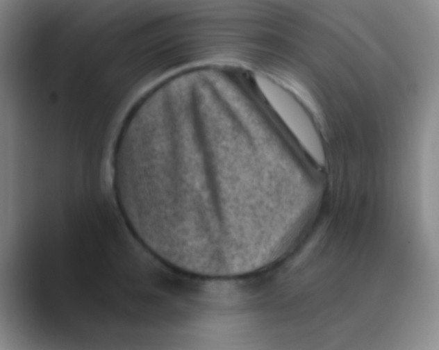 X0000088730944200706282121