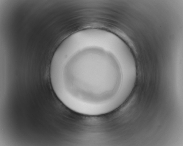 X0000088730945200706282121