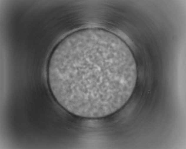 X0000088730950200706282121