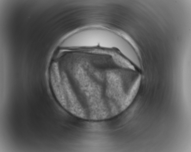 X0000088730951200706282121