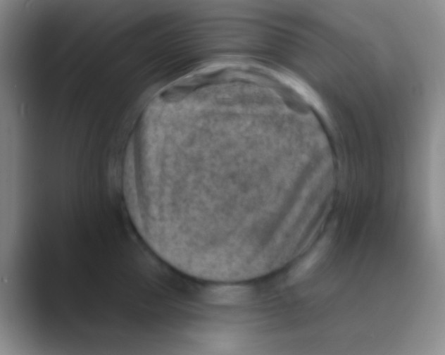 X0000088730953200706282121