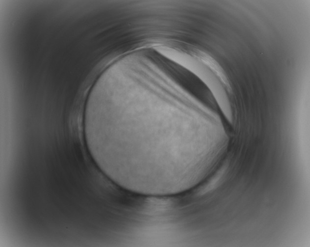 X0000088730954200706282121