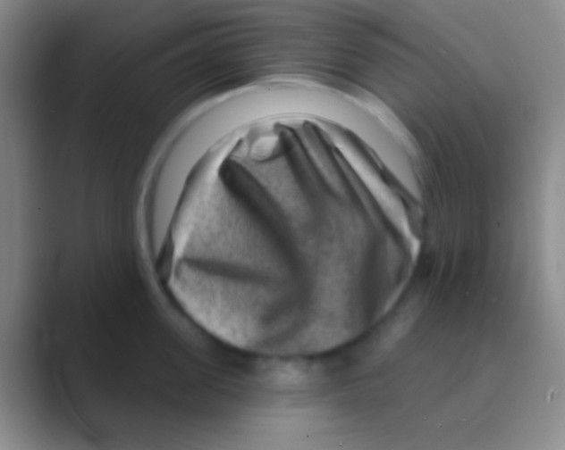 X0000088730955200706282121