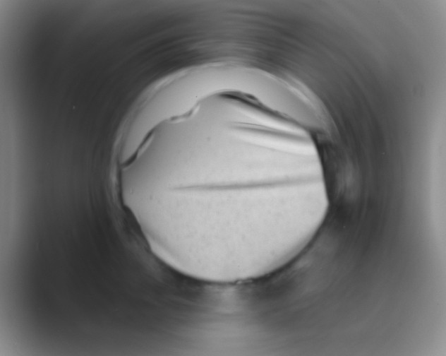 X0000088730956200706282121