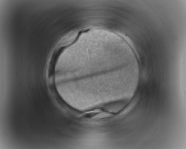 X0000088730957200706282121