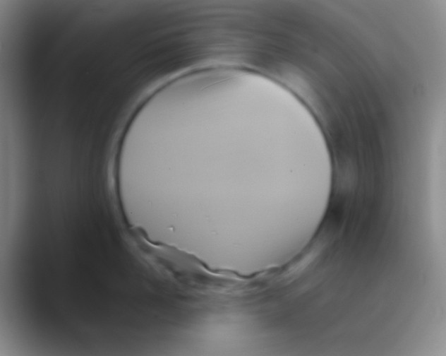 X0000088730958200706282121