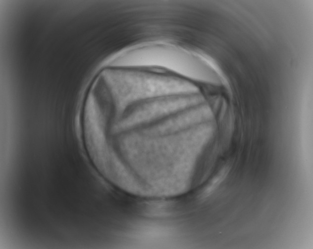 X0000088730959200706282121