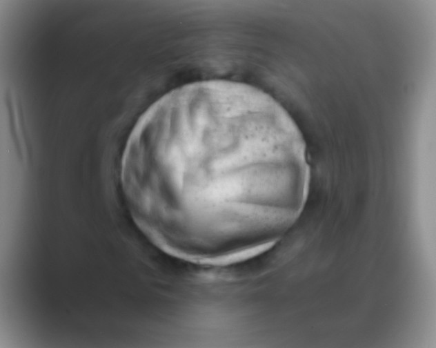 X0000088730961200706282121