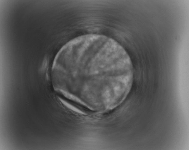 X0000088730962200706282121