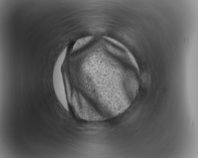 X0000088730963200706282121