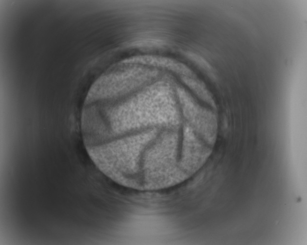 X0000088730966200706282121