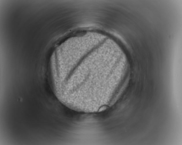 X0000088730967200706282121