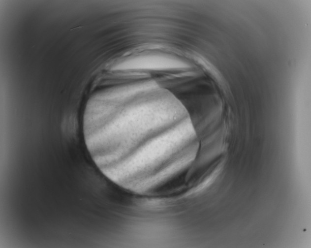 X0000088730969200706282120