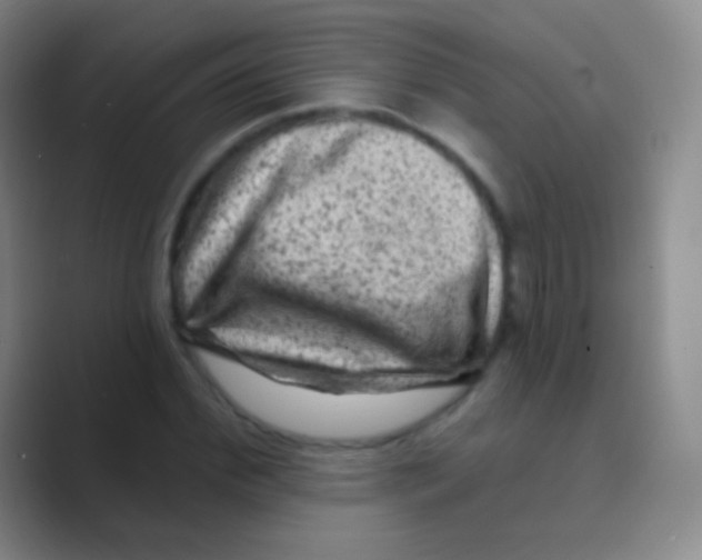 X0000088730972200706282120