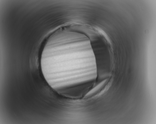 X0000088730973200706282120