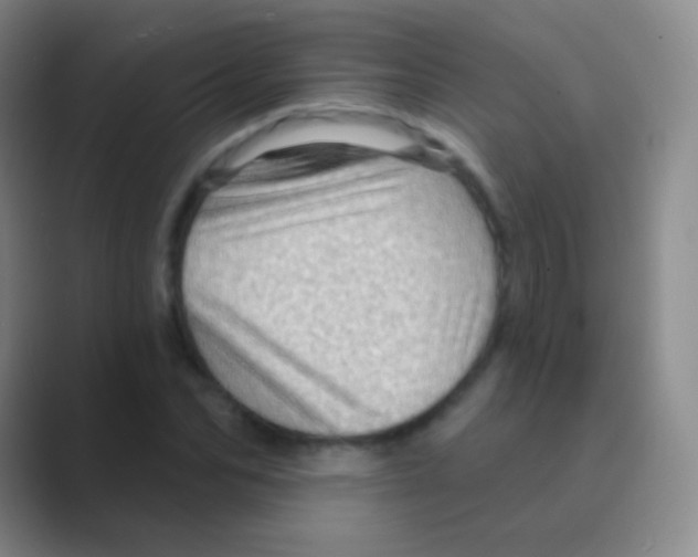 X0000088730974200706282120