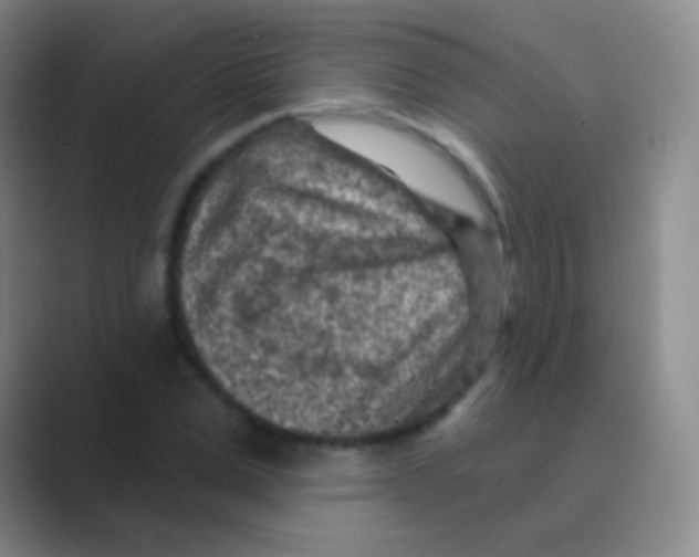 X0000088730975200706282120