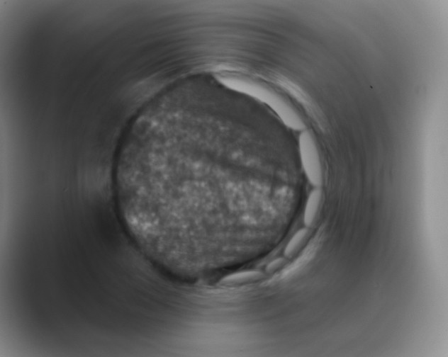 X0000088730977200706282120