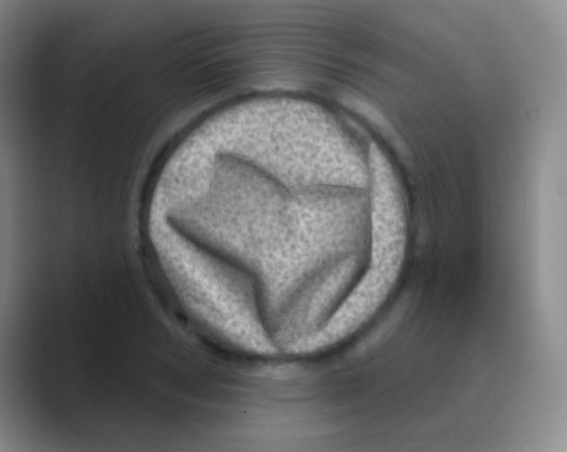 X0000088730978200706282120